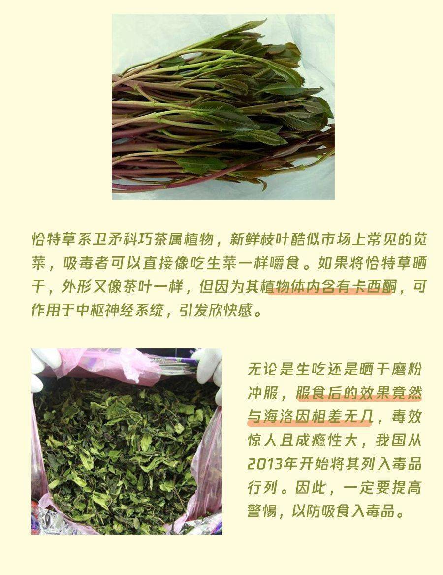 霸州市禁毒委员会关于禁止非法种植毒品原植物的通告