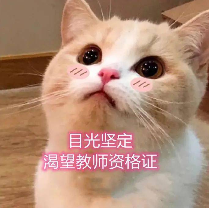 面试合格后,今年7月就能拿到教师资格证?现在可以做什么?