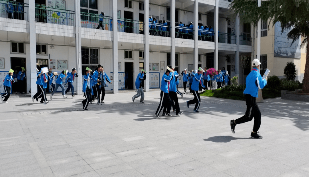 麟游县镇头中学校花图片