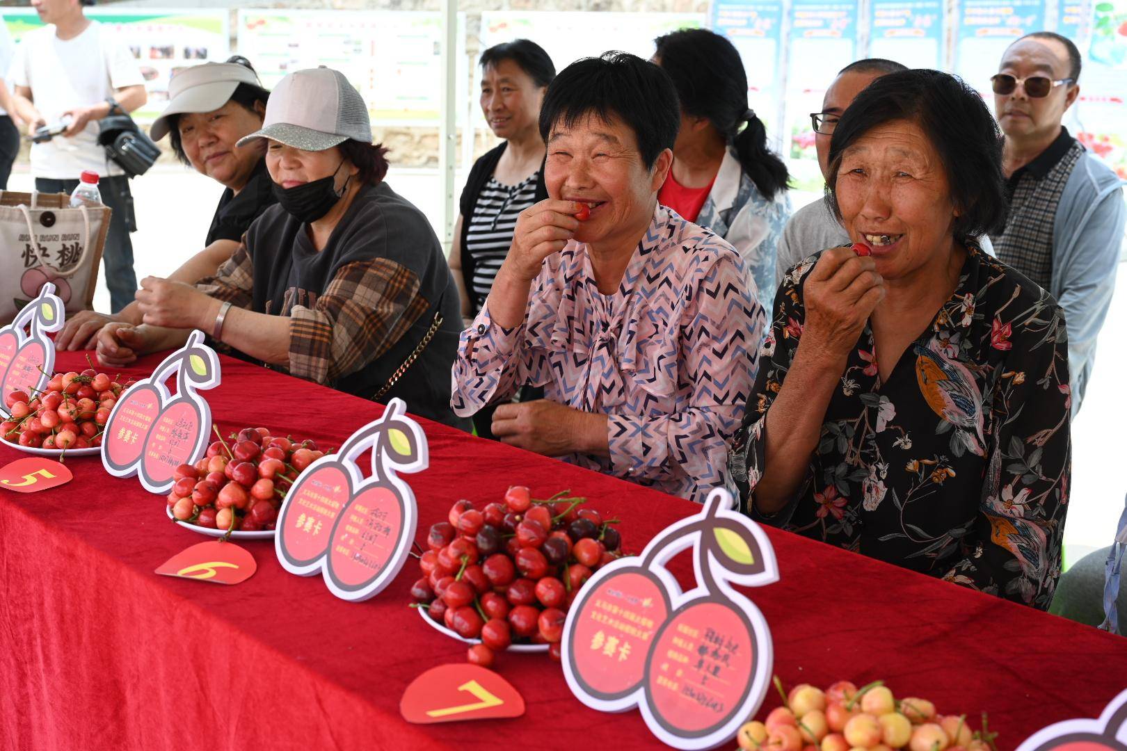 2021年义马樱桃节图片