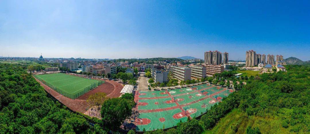 广州市增城区仙村中学图片