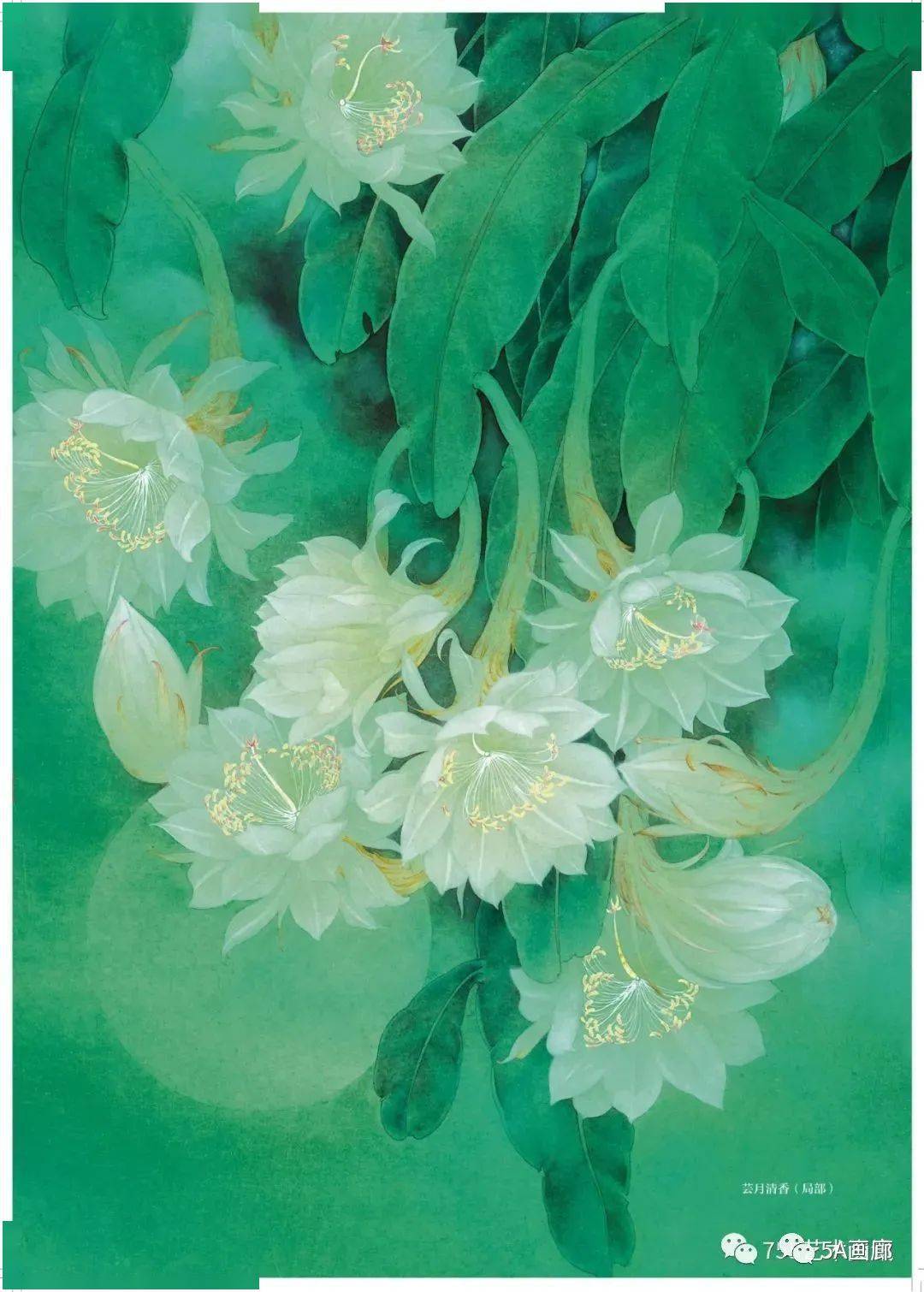 主编:白心副主编:黄光云,吴金龙摄影师:杨扣林,卢炳广,朱勇,李秀清