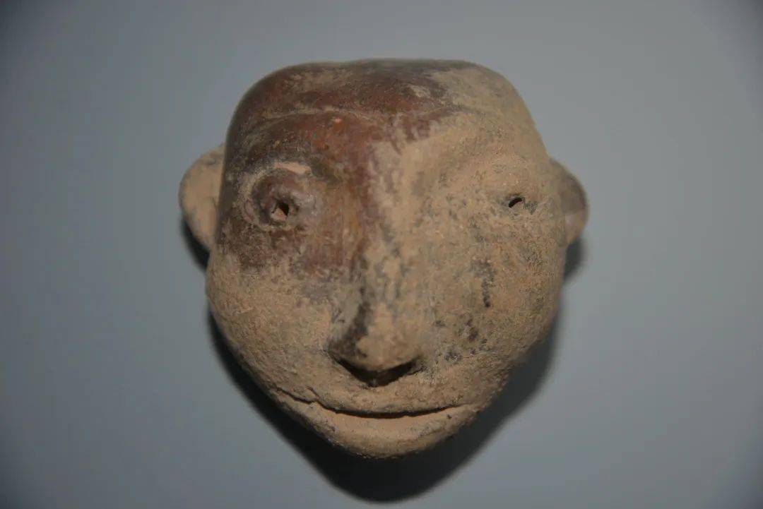 红山,良渚,陶寺,石峁,二里头…中国早期五大文明首次汇聚山西_遗址