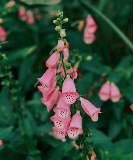 你健康,我祝福你,佳友便是如此,不知不觉,自然而然发生改变.