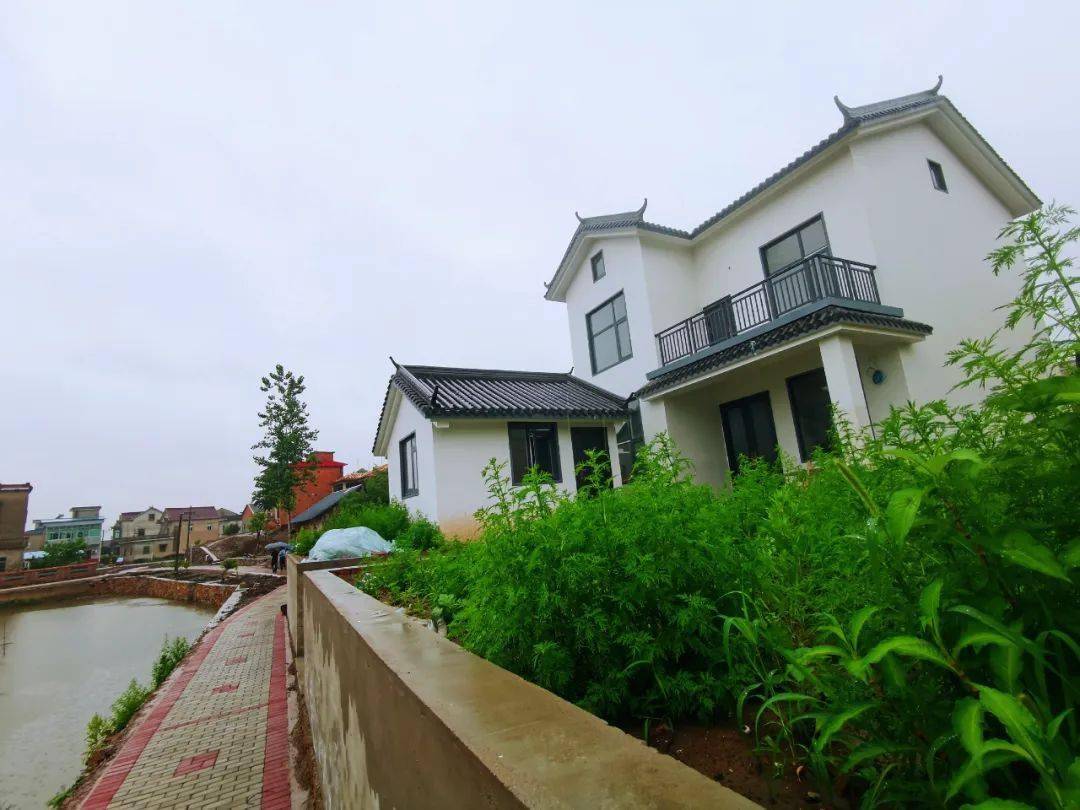 走进建设中的省级美丽乡村:汤沟镇先进村_枞阳_产业_许耀明