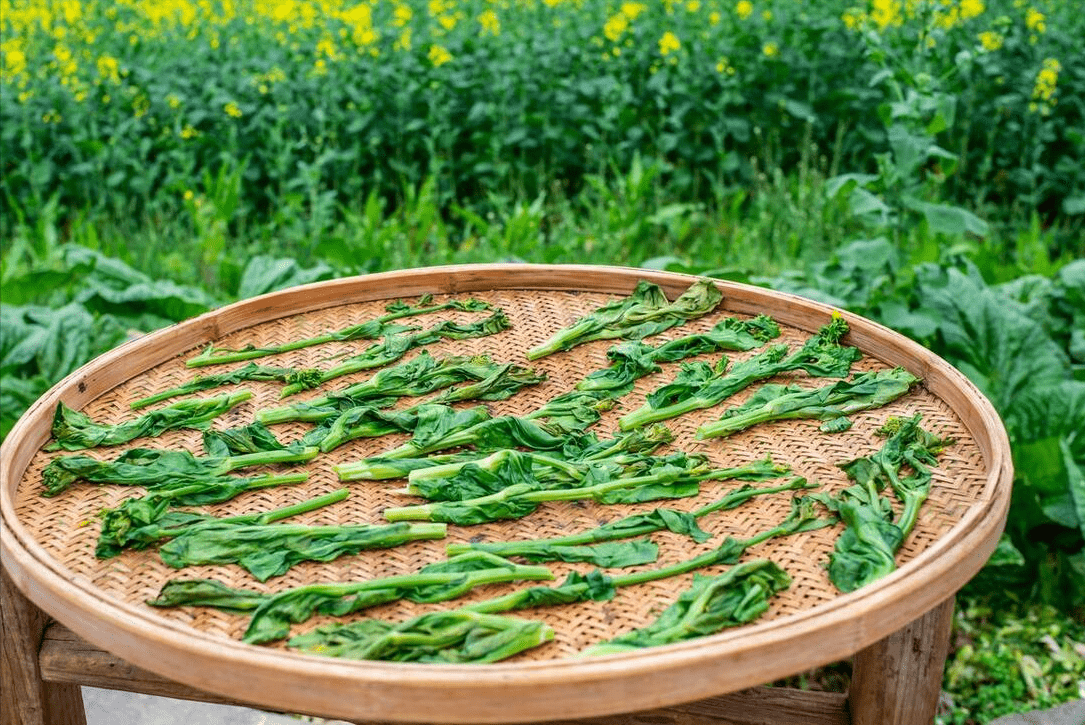 就已經長了黴點,這就說明溫度,太陽都沒達到最佳,因此要想曬乾菜的話