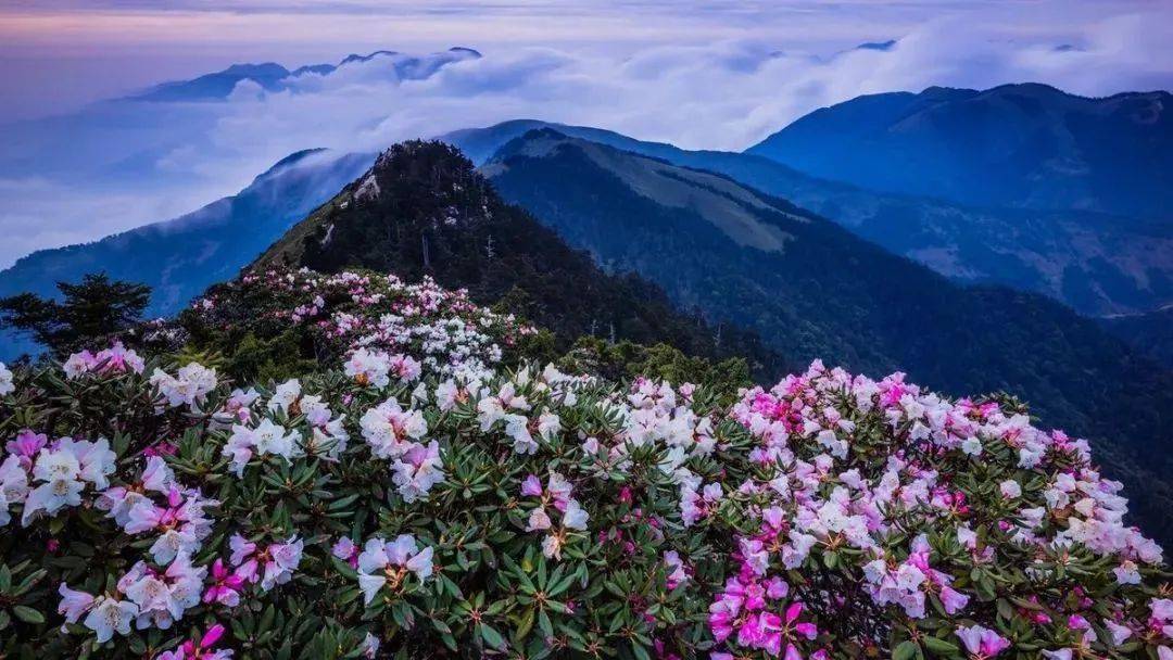 【世界瑶都】探秘金秀圣堂山,船游圣堂湖,瑶族博物