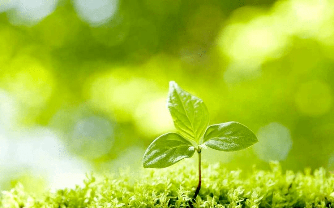 跟着传媒君,一起做不一样的"低头族"吧_生活_审核_靳昕悦