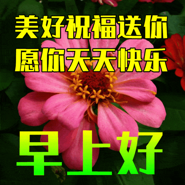 5月21日最漂亮早上好动态表情图片大全,早晨好动图美图大全_亲爱的