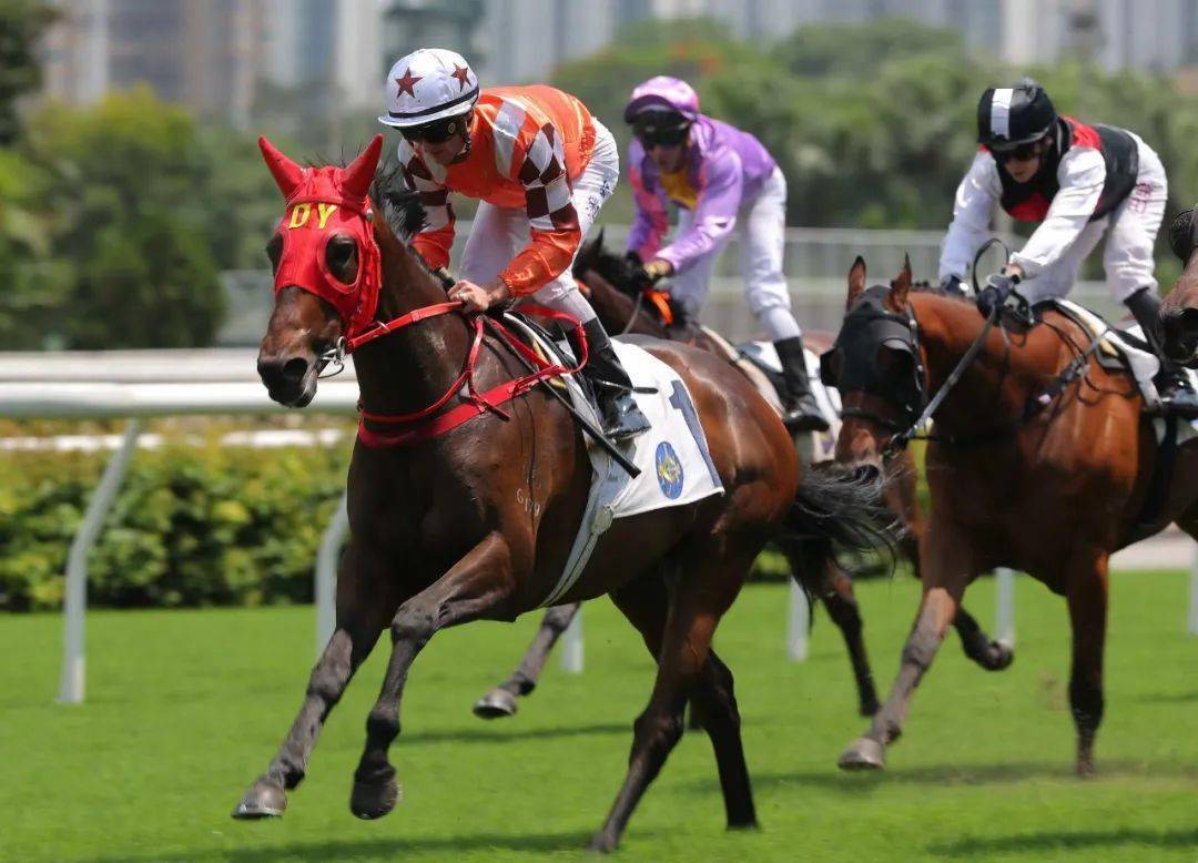 近两个马位优势,但最后三百米群驹涌上,当中受注目的「灯胆王子」最劲