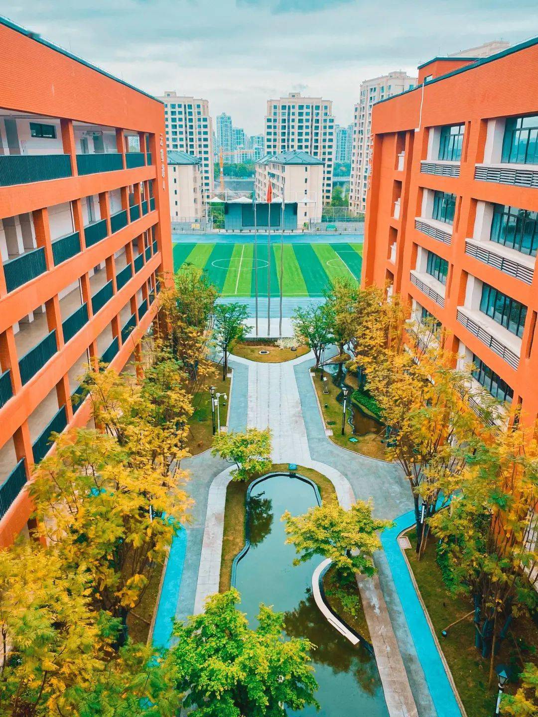 最美校园丨一步一景,它们是校园最美"风景线"_拍摄者_两江_新区