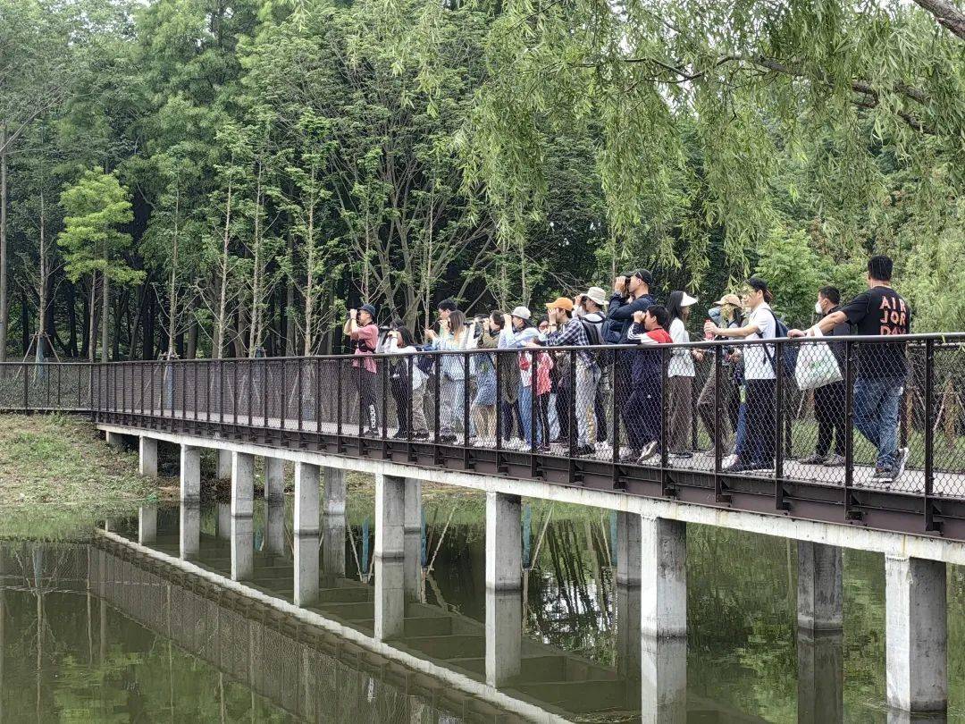 关注生物多样性保护,浦东在金海湿地公园等地举行科普活动_自然_城市