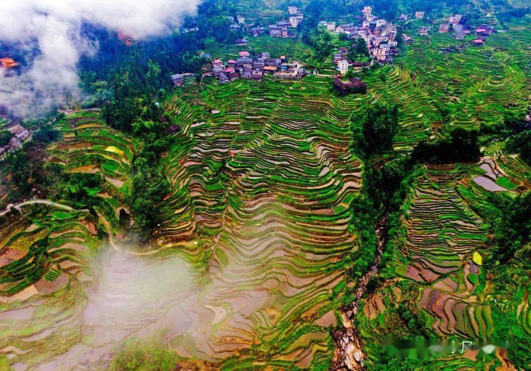 融水:高标准农田建设绘就苗家侗寨新画卷_白云乡_拱洞乡_苗寨