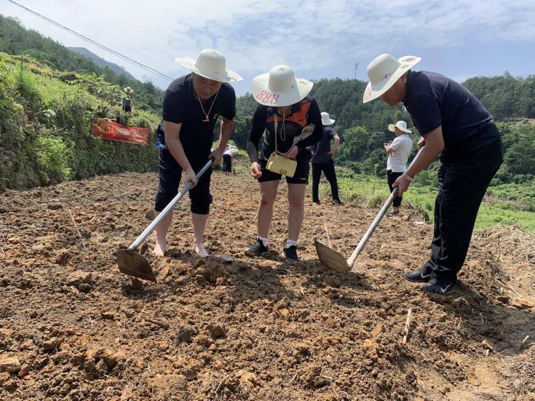 龙岩市市场监管局赴上杭县临城镇开展 "我在乡间有亩田"党员志愿活动