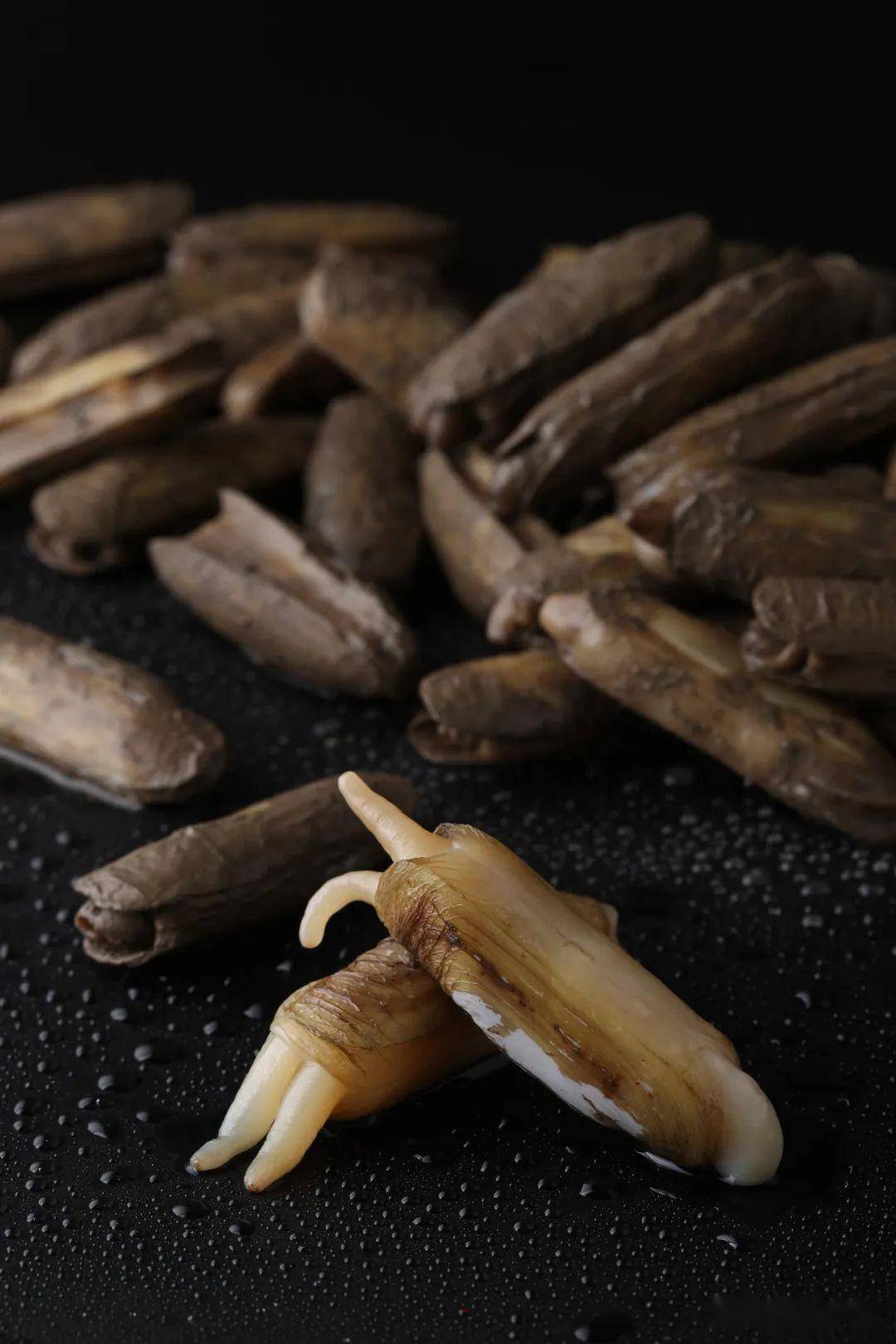 休渔期,广东人的餐桌也"鲜"味不断_龙虾_蛏子_莆田