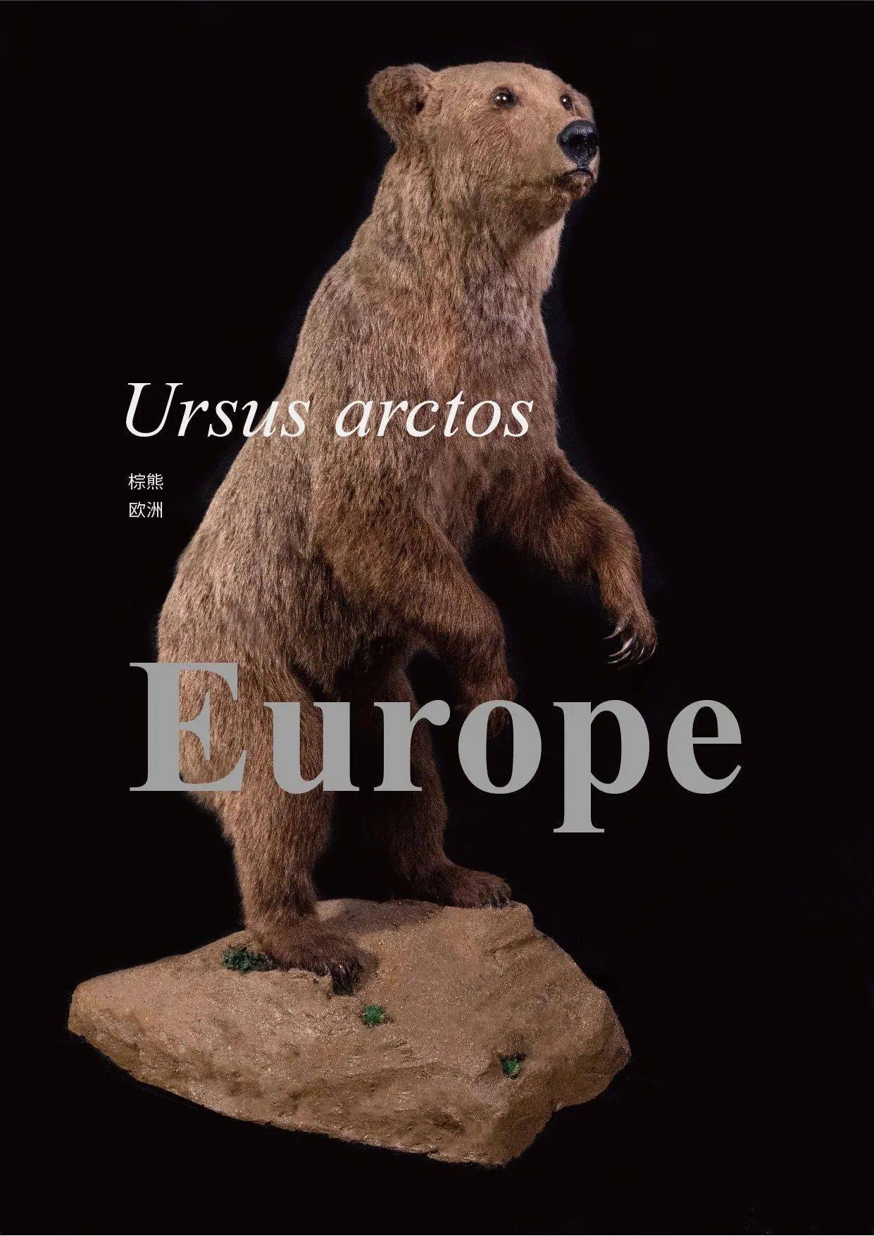 上大的这里,藏了个"动物世界"!