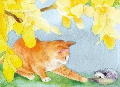 优选好书┆茅盾文学奖得主张炜沉潜六年惊艳之作《橘颂》,献给9-99岁