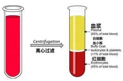 血漿是血液的液體成分,採集出的全血通過離心或會自然分層後,上層淡