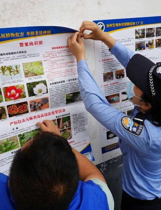 "空中排查 地面巡查 让毒品原植物无处遁形_种植_罂粟_进行