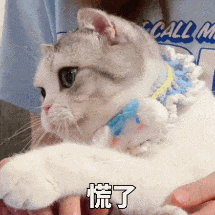有趣的表情包:阿巴阿巴阿巴
