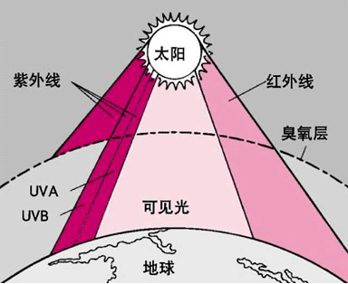 太阳光由不同波长的电磁波构成,到达地表的太阳光主要包括紫外线,可见
