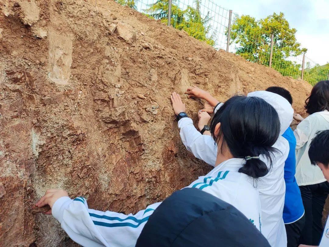 任务:①复习土壤知识,查阅资料了解即墨土壤及地理工具的使用;②使用