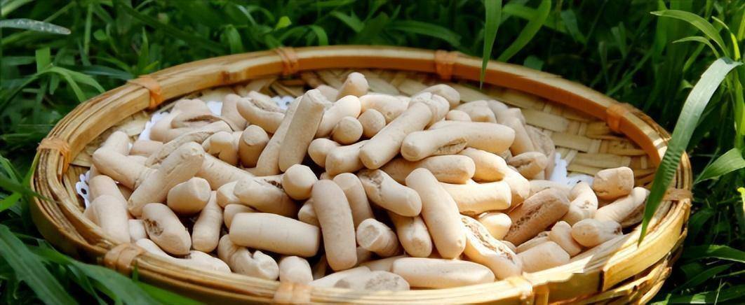 武乡炒指_石勒_黄土_火头军