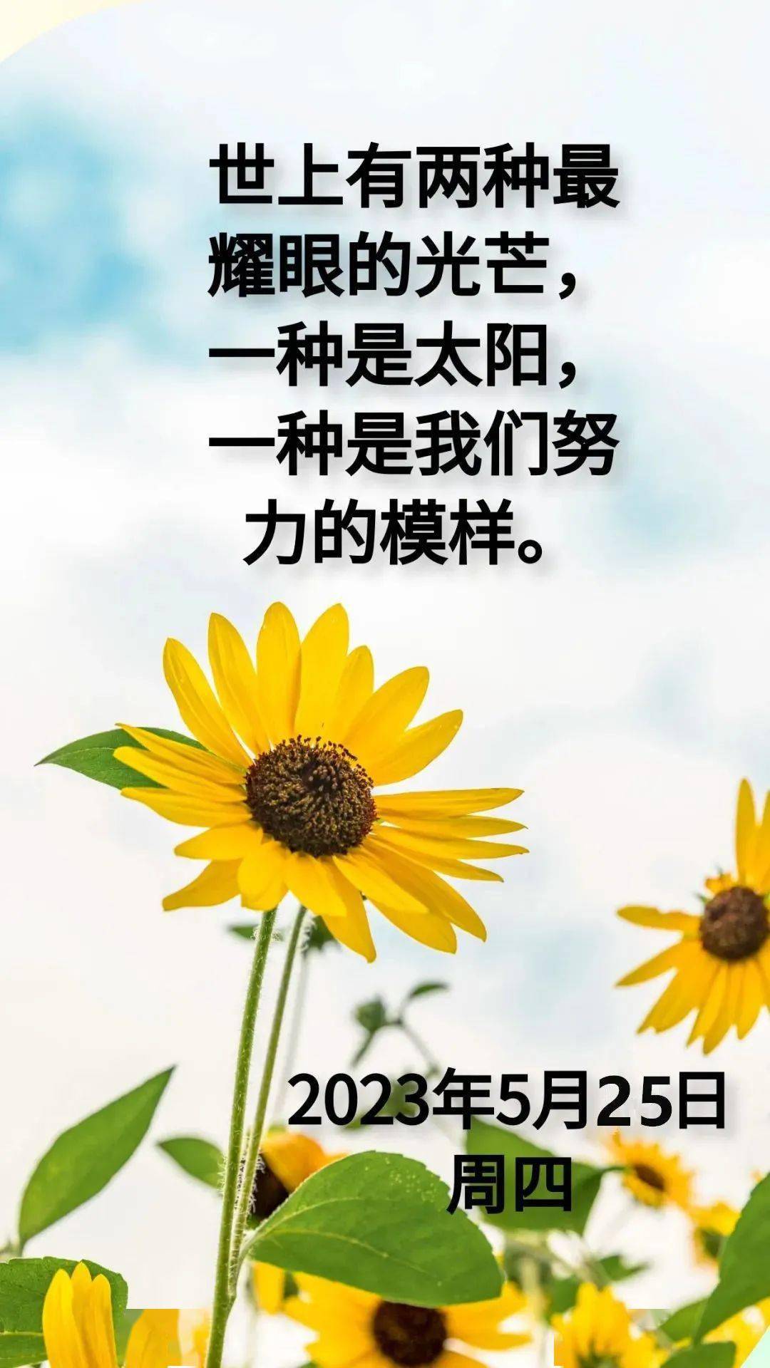 5月25日美丽的一天,努力绽放,向阳而生_梦想_空想_生活