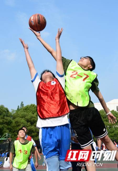 稻田中学篮球赛图片
