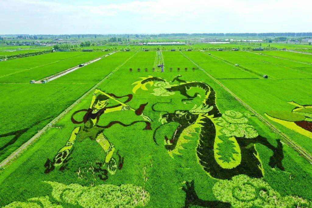 乡村小品景观设计时,如何突出"自然美"?_农业_进行_文化