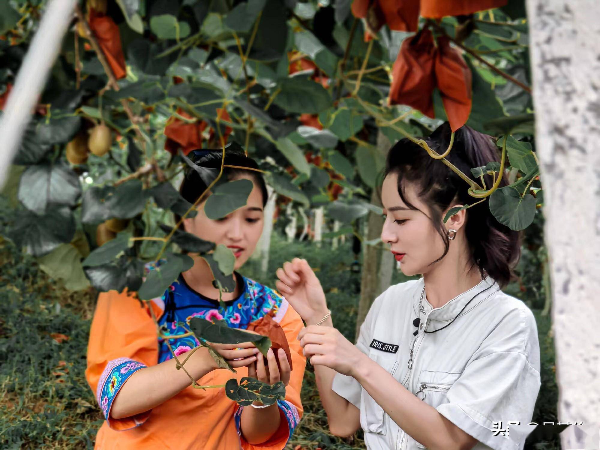 为各产业加速赋能,看民营企业家薇娅的三重蜕变与转型_直播_品牌_老