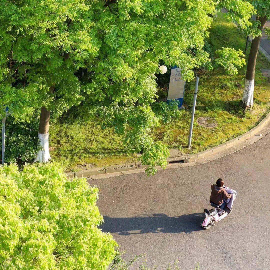 不重样的一周ecuster头像使用指南!速领→_华理_校园_华讯