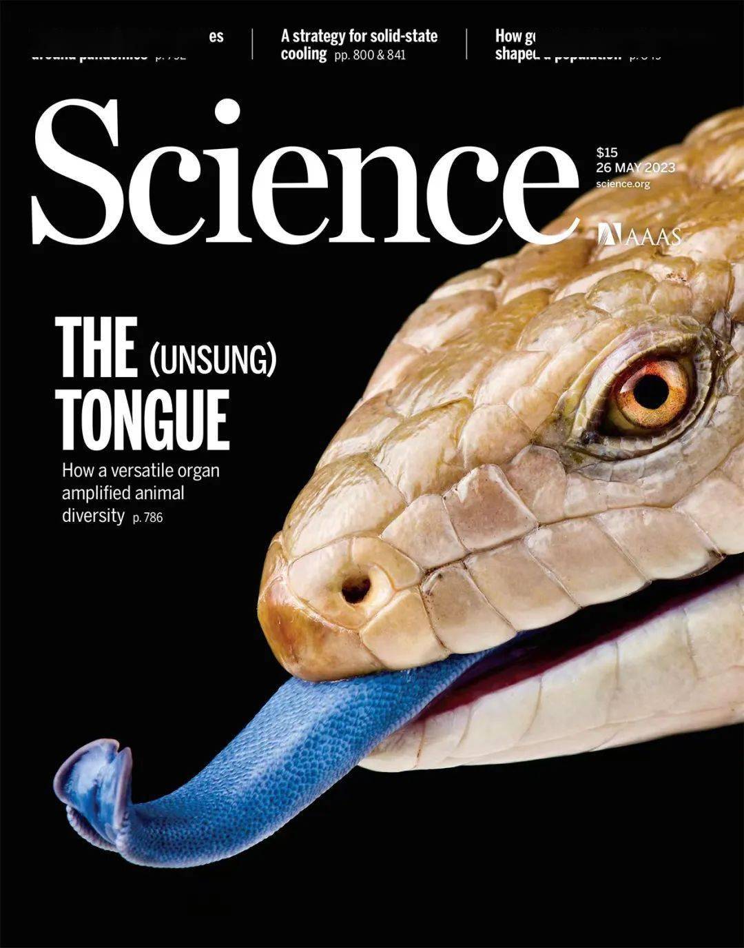 北航《science》再+1