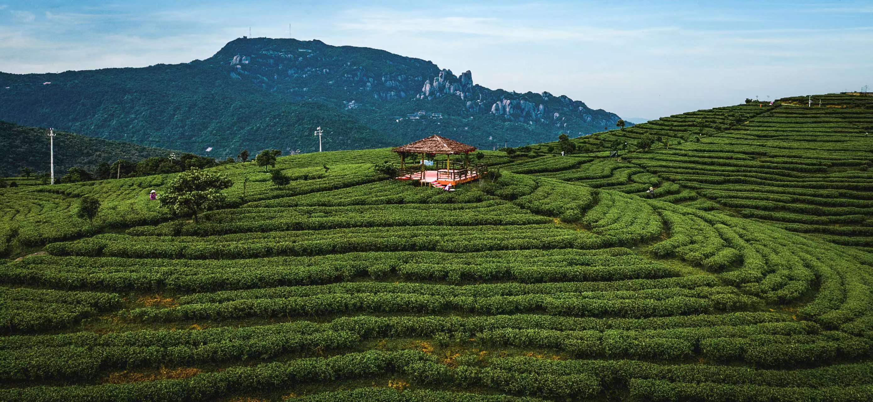 春和景明篇 | 福建·最美春光赏花休闲之旅_霍童_景区_旅游区