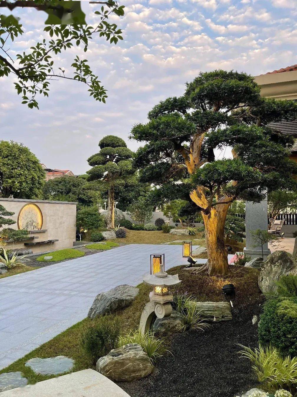 庭院中的立体画,一棵松树一幅画_花园_松柏_枝干