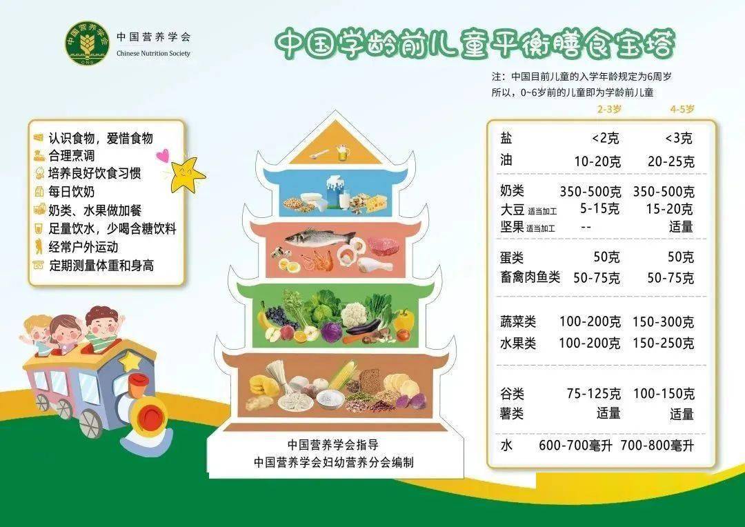 青少年平衡膳食宝塔图片