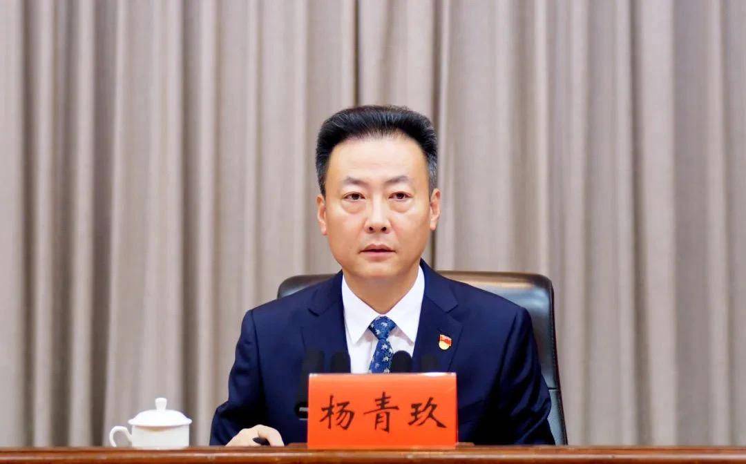 杨青玖任浙江省副省长,省公安厅厅长