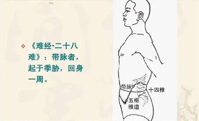 一个可以瘦肚子的"神秘"部位!_艾灸_腹部_经脉