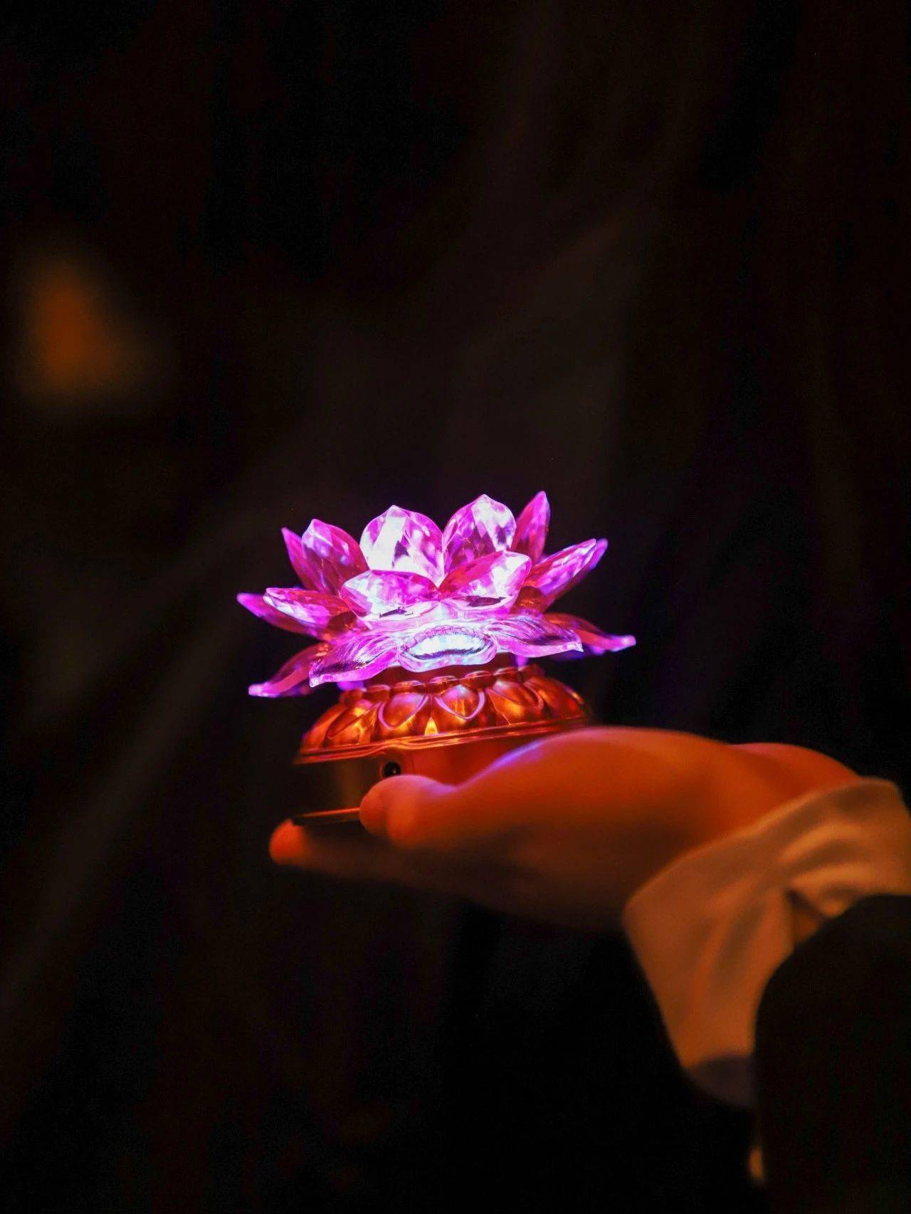 玉佛禅寺举行佛诞梵乐晚会暨传灯法会_释迦牟尼_本师_佛陀