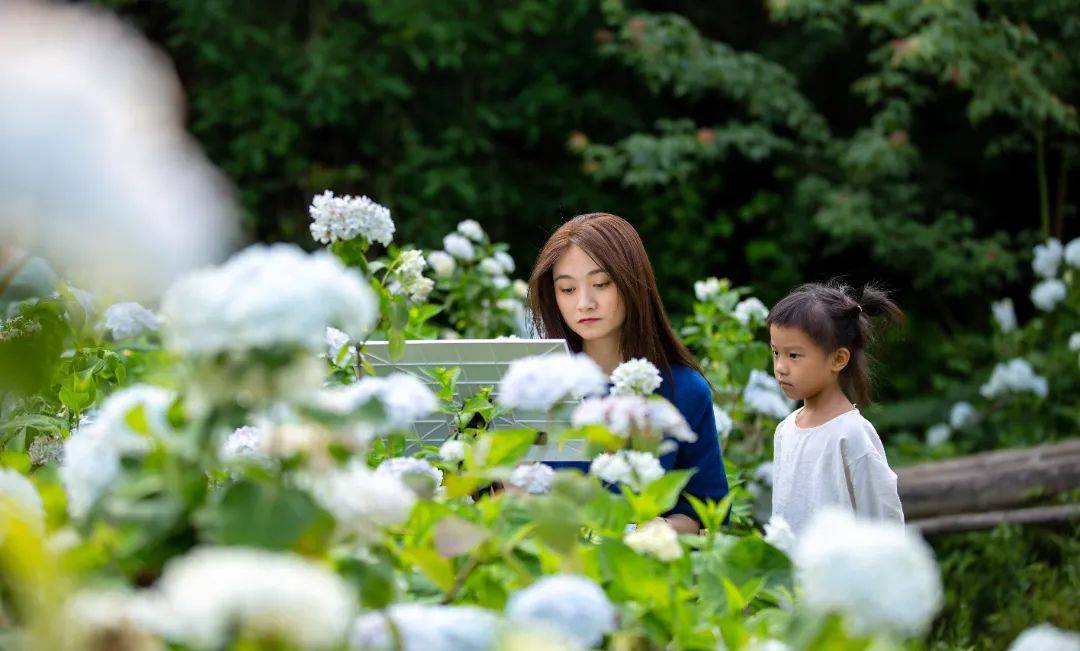 花塔_山谷_桂花镇