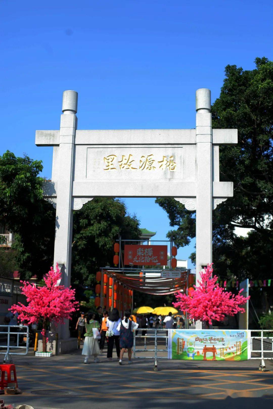北滘桃村栾樨文化节2023_桃源_村民_幼儿园