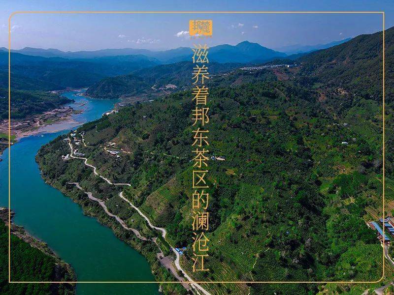 温度临沧 | 云上邦东,临沧的宝藏茶地