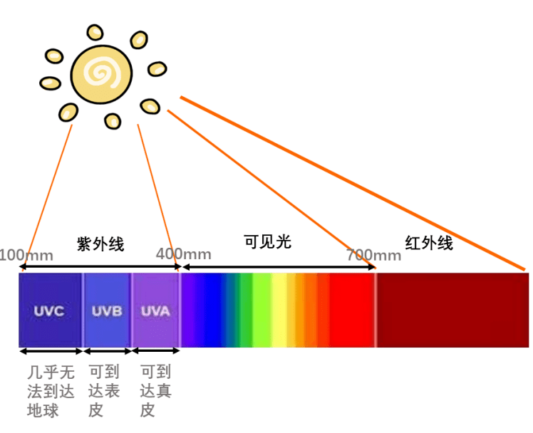 紫外线示意图图片