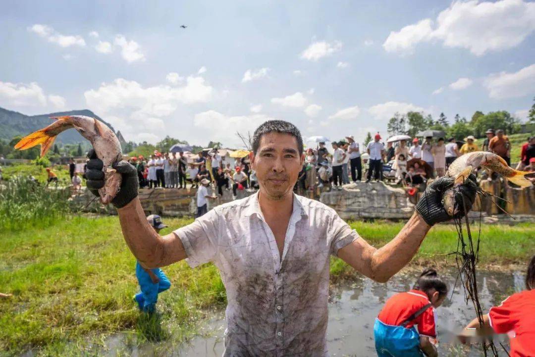 这场插秧节好有趣!_活动_朝门村_发展