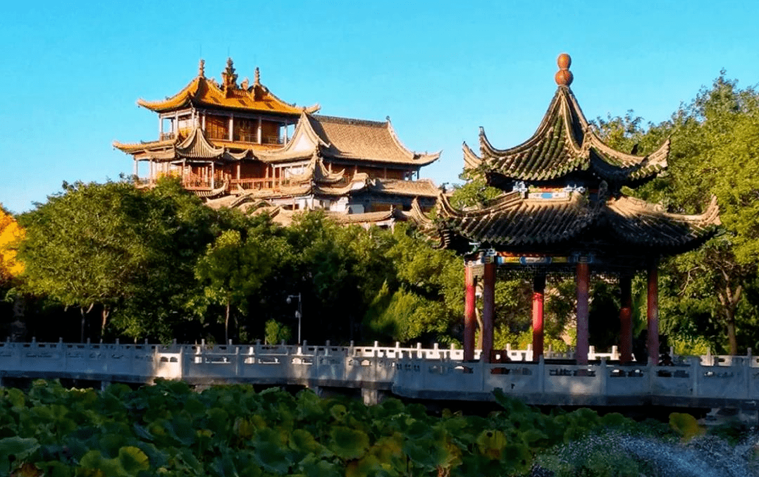 跟着"县"路游宁夏∣去平罗赏沙水相依的美景,体验田园休闲的乐趣_旅游