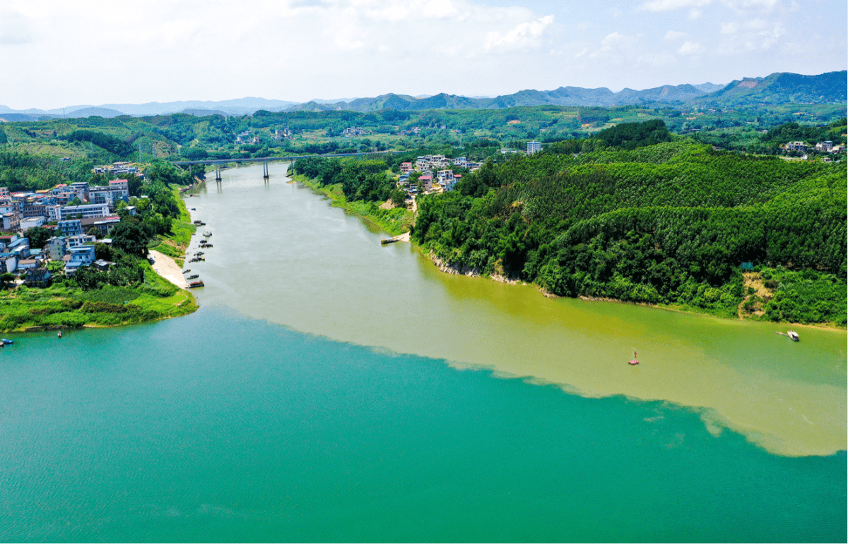 今天的柳江河竟是这种颜色_水后_柳州市_鹿寨县