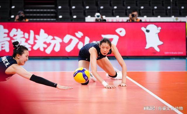 中国女排19人名单出炉!