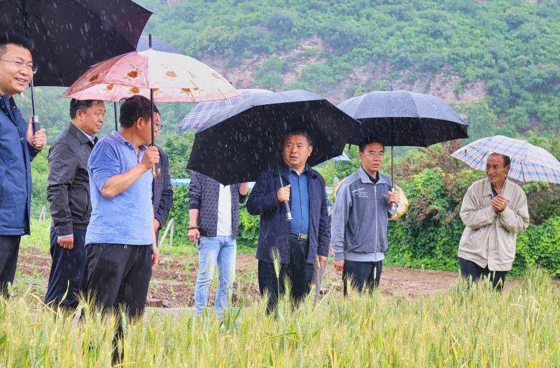 平顺县委副书记,县长刘林松深入石城镇老申峧村,东庄村,黄贝坪村进