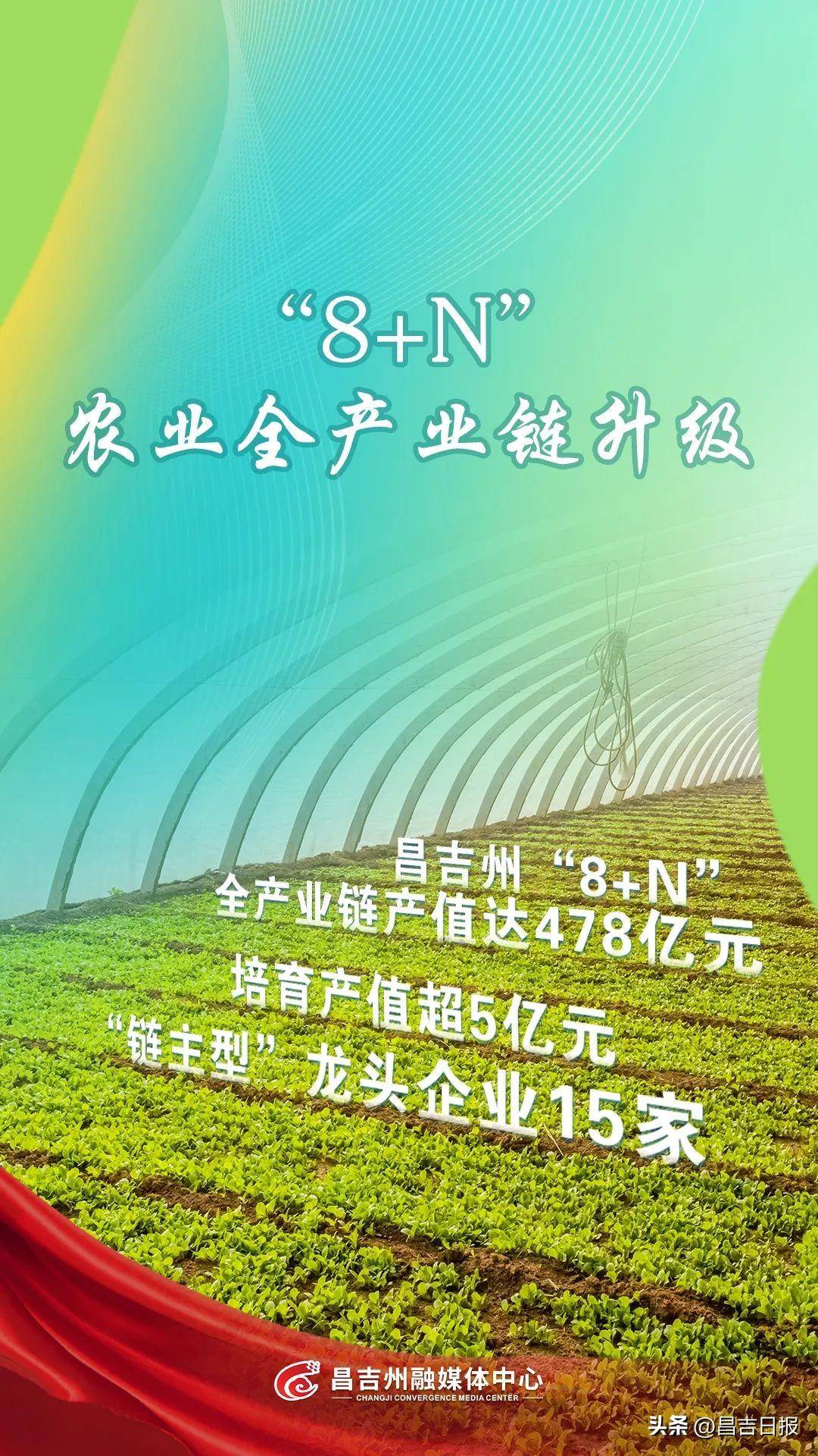 2億元,從一枚小雞蛋到全產業可追溯體系……昌吉州不斷挖掘鄉村多元