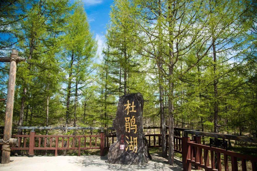 【旅拍兴安】诗情画意——阿尔山杜鹃湖_公众_湖面_来源